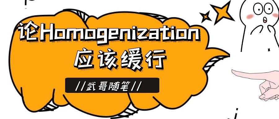 论Homogenization应该缓行