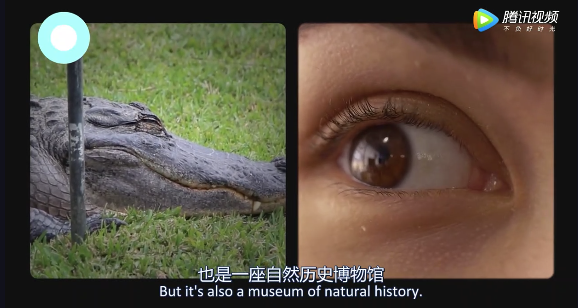 为什么不是所有人耳朵都会动哦？