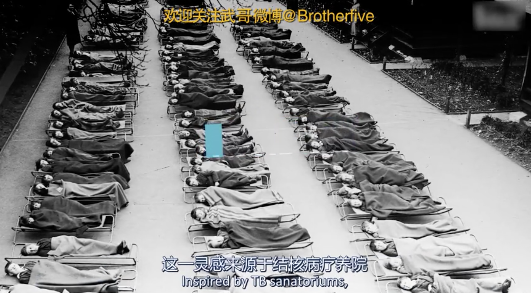 把婴儿装进笼子… …